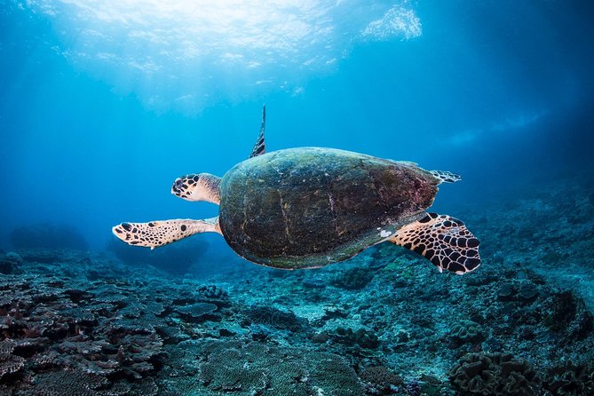 Discover Scuba Diving in Tulamben - Diving Initiation in Bali best diving sites - The break at the scuba center