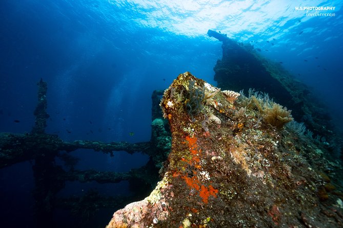 Discover Scuba Diving in Tulamben - Diving Initiation in Bali best diving sites - What the private format is worth at $89.40