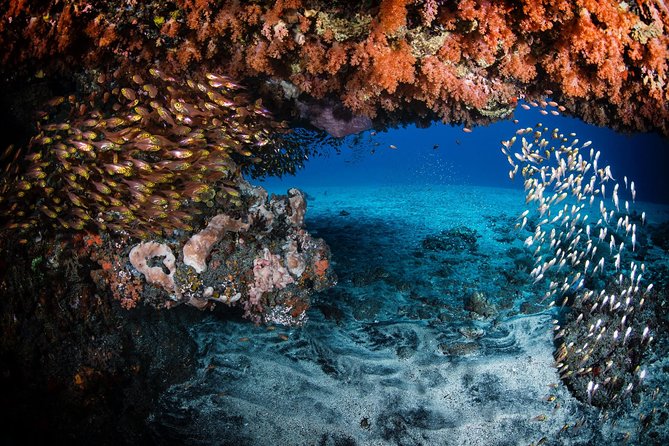 Discover Scuba Diving in Tulamben - Diving Initiation in Bali best diving sites - Practical details that can make the day easier