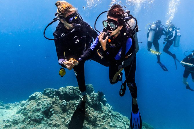 Discover Scuba Diving in Tulamben - Diving Initiation in Bali best diving sites - The first briefing and shallow-water practice