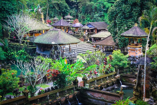 Discover Ubud: 2 Days Ubud Private Tour - Tegalalang shows Bali’s farming tradition