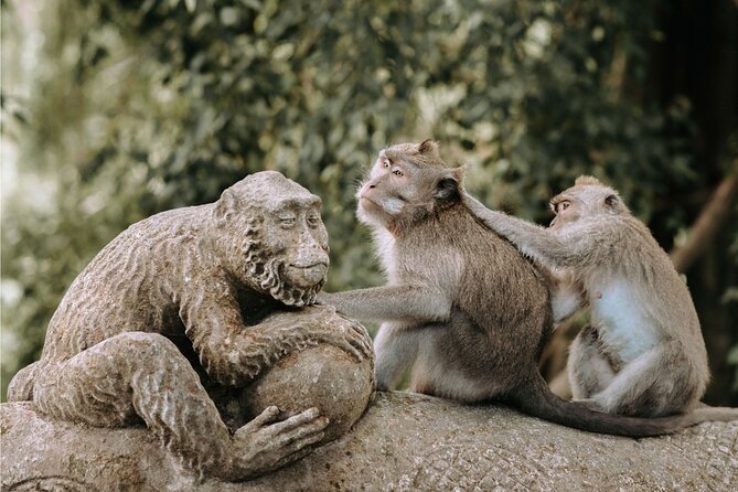 Discover Ubud: 2 Days Ubud Private Tour - Monkey Forest adds shade and a little caution