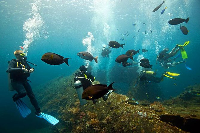 Dive at Tulamben Bali USS Liberty Ship Wreck - Practical questions to settle before you go