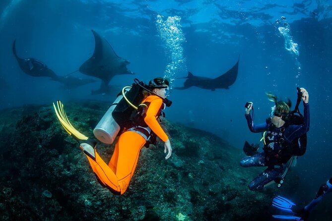 Diving in Nusa Penida - Key points to know before booking
