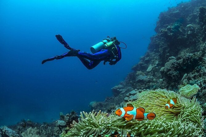 Diving in Nusa Penida - First ocean location: the manta ray area