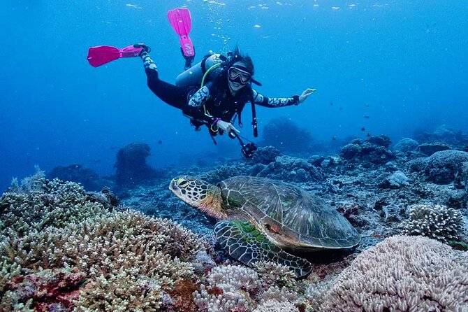 Diving with Manta Ray at Nusa Penida - What the Four-Hour Schedule Gives You