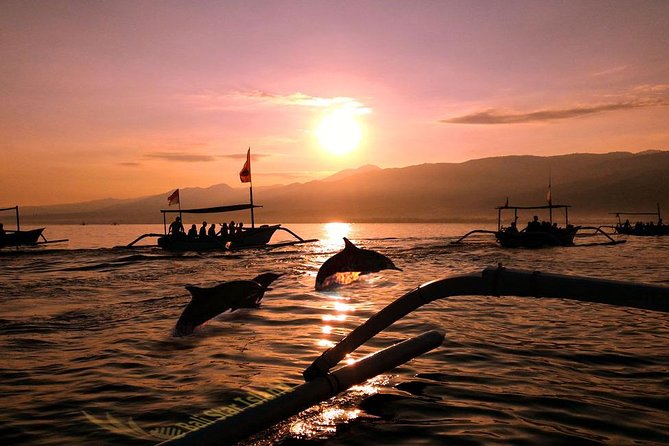 Dolphin Tour and Sunrise Watching in Lovina Beach - All Inclusive - Key points before you book