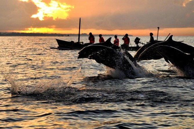 Dolphin Tour and Sunrise Watching in Lovina Beach - All Inclusive - The long road to Lovina before sunrise