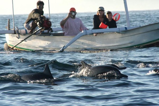 Dolphin Tour and Sunrise Watching in Lovina Beach - All Inclusive - Who will enjoy this Bali day trip most