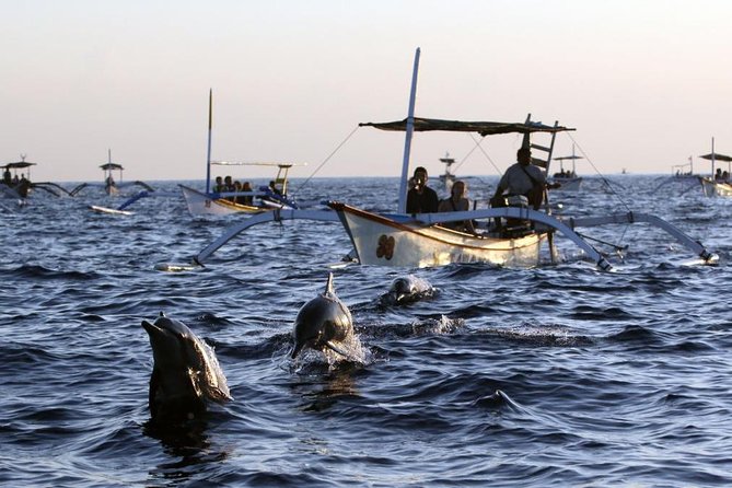 Dolphin Tour and Sunrise Watching in Lovina Beach - All Inclusive - Watching dolphins off Lovina Beach