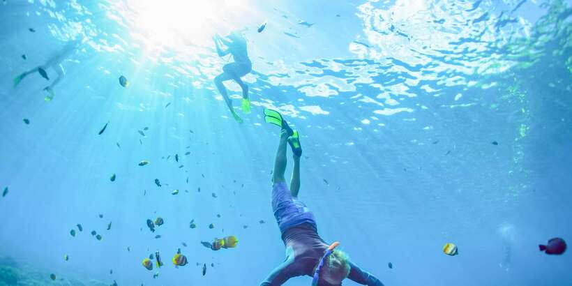 East Bali: Snorkeling Day Trip to Amed - Key points to know before booking