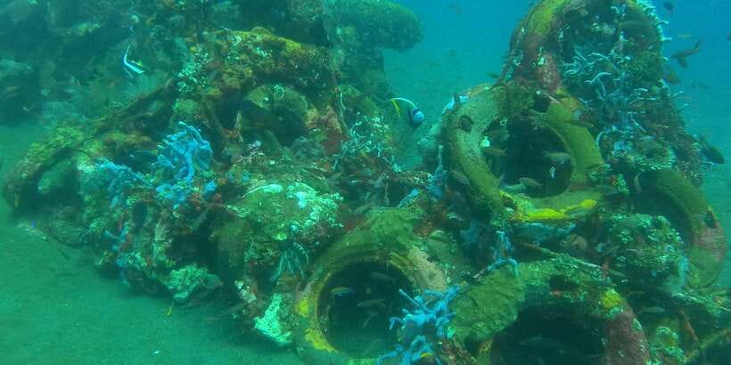 East Bali: Snorkeling Day Trip to Amed - Amed’s calm bay and close-to-shore reef