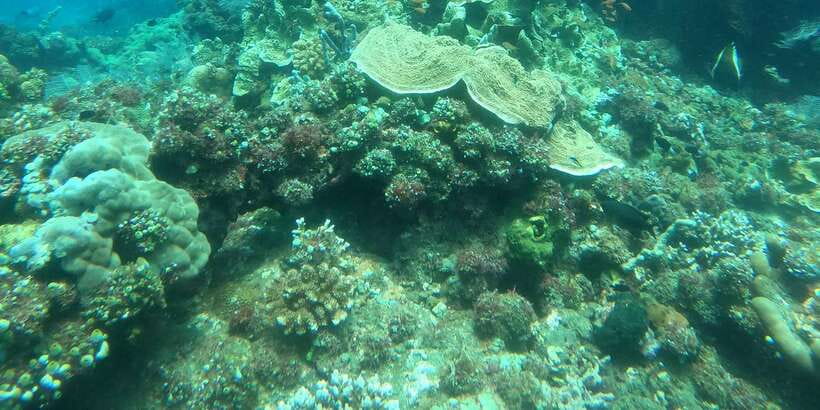 East Bali: Snorkeling Day Trip to Amed - Who will enjoy this trip most?