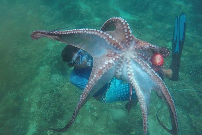 East Bali Spear Or Line Fishing Tour At Virgin Beach - What the Virgin Beach fishing day is really like