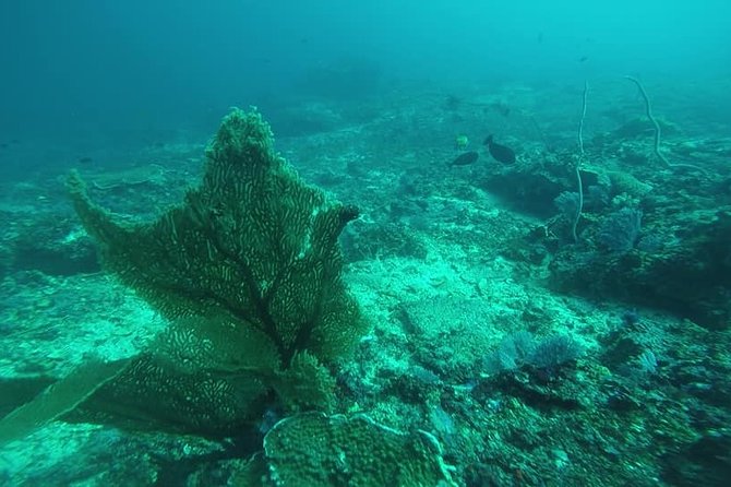 East Bali Spear Or Line Fishing Tour At Virgin Beach - Safety, comfort, and the small boat