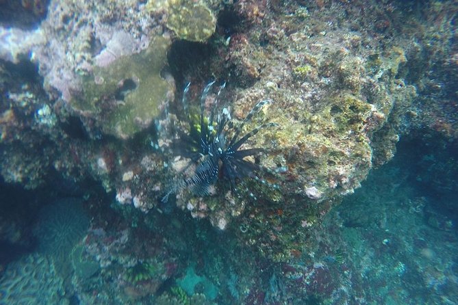 East Bali Spear Or Line Fishing Tour At Virgin Beach - Bukit Asah and the Mount Agung view