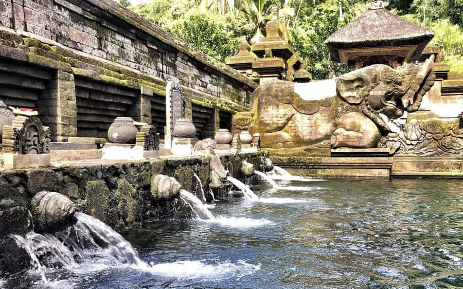 EAST BALI TRIP : BESAKIH TEMPLE/LAKE BATUR/TIRTA EMPUL - The coffee plantation stop