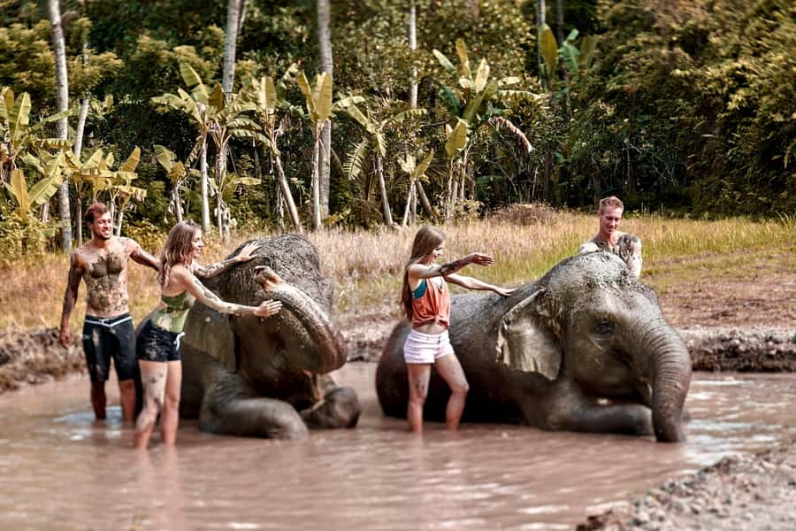 Elephant Care Experience with Mud Bath at Bali Zoo - Key points to know before you book