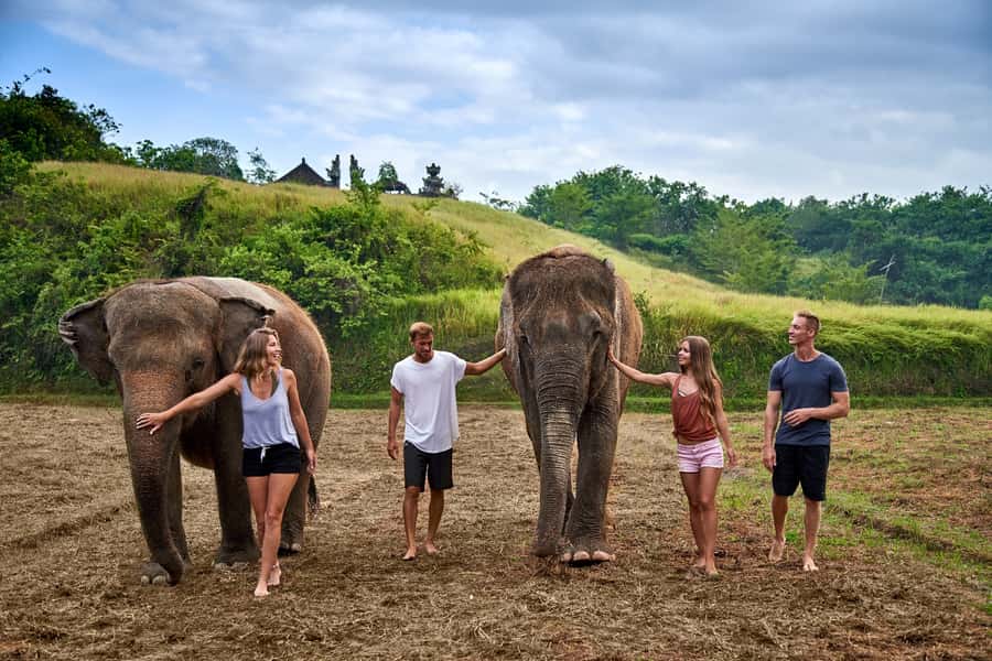 Elephant Care Experience with Mud Bath at Bali Zoo - Meeting rescued Sumatran elephants at Bali Zoo