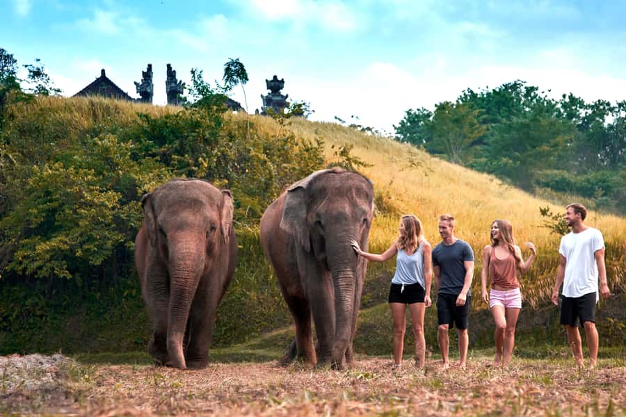 Elephant Care Experience with Mud Bath at Bali Zoo - Getting dirty in the elephant mud and sand spa