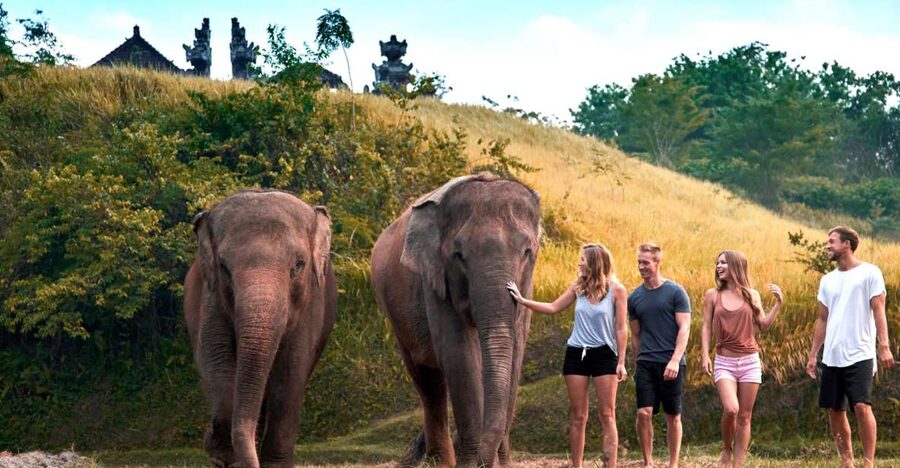 Elephant Care Experience with Mud Bath at Bali Zoo - Showers, lunch, and the rest of Bali Zoo