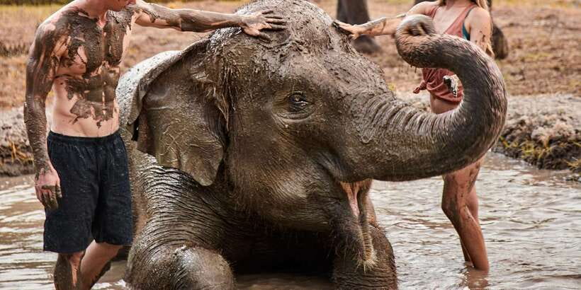 Elephant Care Experience with Mud Bath at Bali Zoo - Practical preparation for a muddy morning