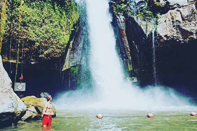 Exclusive Ubud Day Tour - Key points to know before booking