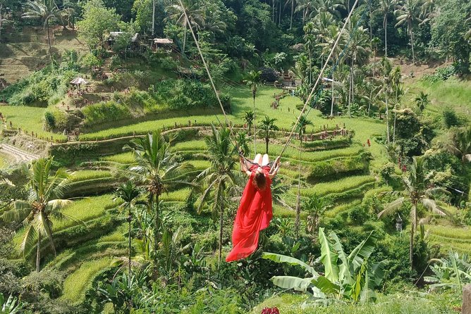 Exclusive Ubud Day Tour - Sacred Monkey Forest: temples, carvings, and wildlife