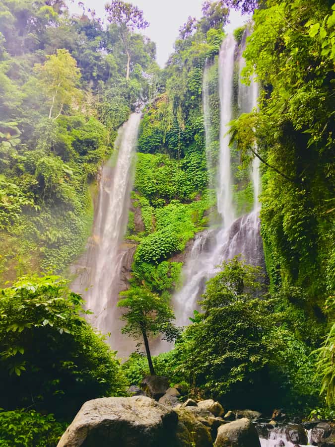 Explore Munduk Customized 8 Hours Day Tour In The North Bali - Buyan and Tamblingan lakes from the mountain road