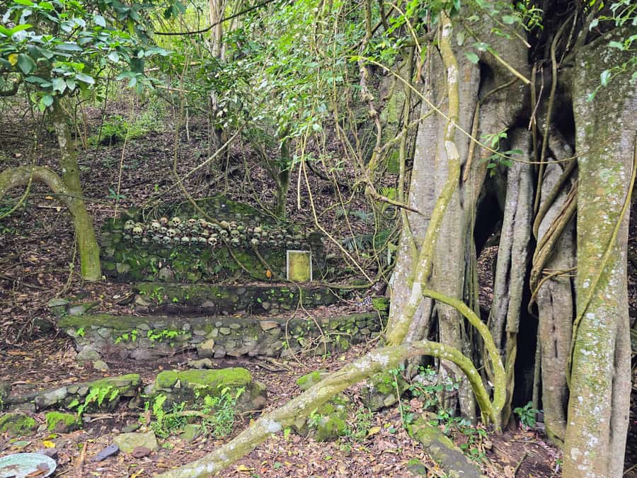 Exploring Trunyan Cemetery - Pancering Jagat Trunyan and the village temple