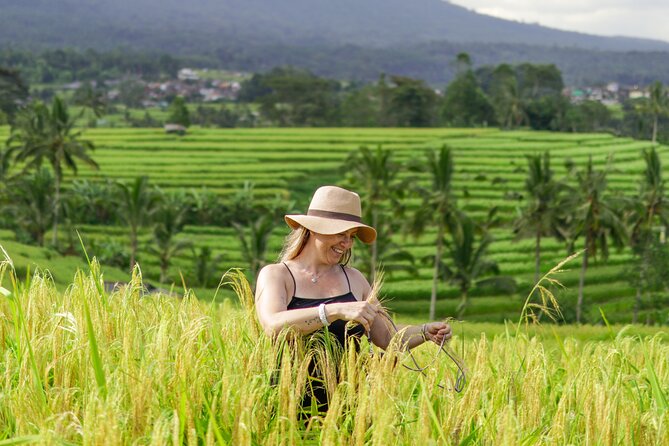 Exquisite UNESCO World Heritage Sites in Bali - Tanah Lot and Bali’s famous sea-temple view