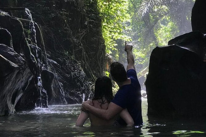 Farmer market, waterfalls, holy spring - All Inclusive - Lunch at a local warung, with the bill separate