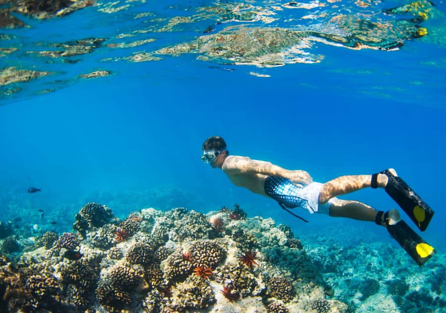 From Bali: 2-Day Private Gili Island Snorkel Tour with Hotel - FAQ