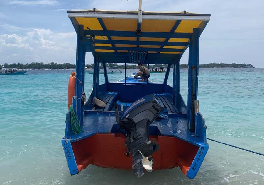 From Bali: 2-Day Private Gili Island Snorkel Tour with Hotel - Who Will Get the Most From This Gili Tour?