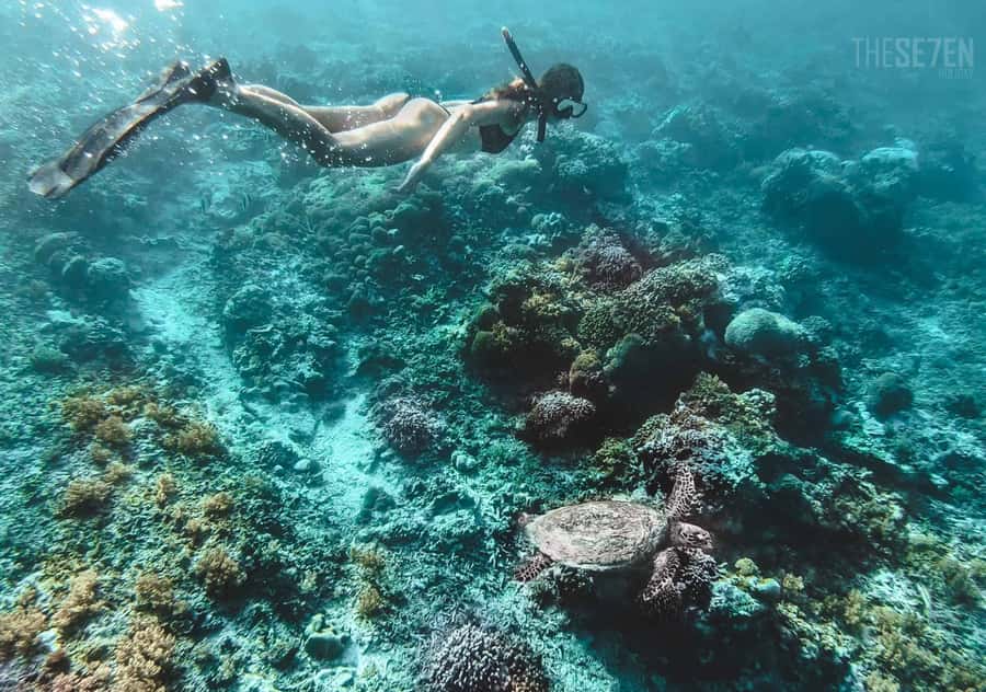 From Bali: 2-Day Private Gili Island Snorkel Tour with Hotel - Crossing the Lombok Strait by Fastboat