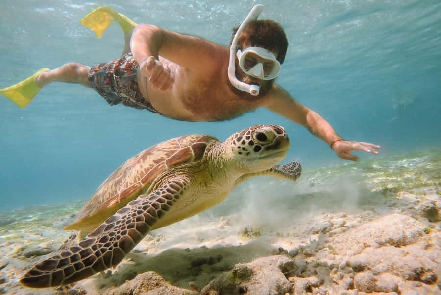 From Bali: 2D1N Gili Island Private Snorkel Boat with Hotel - What this two-day Gili trip is really like