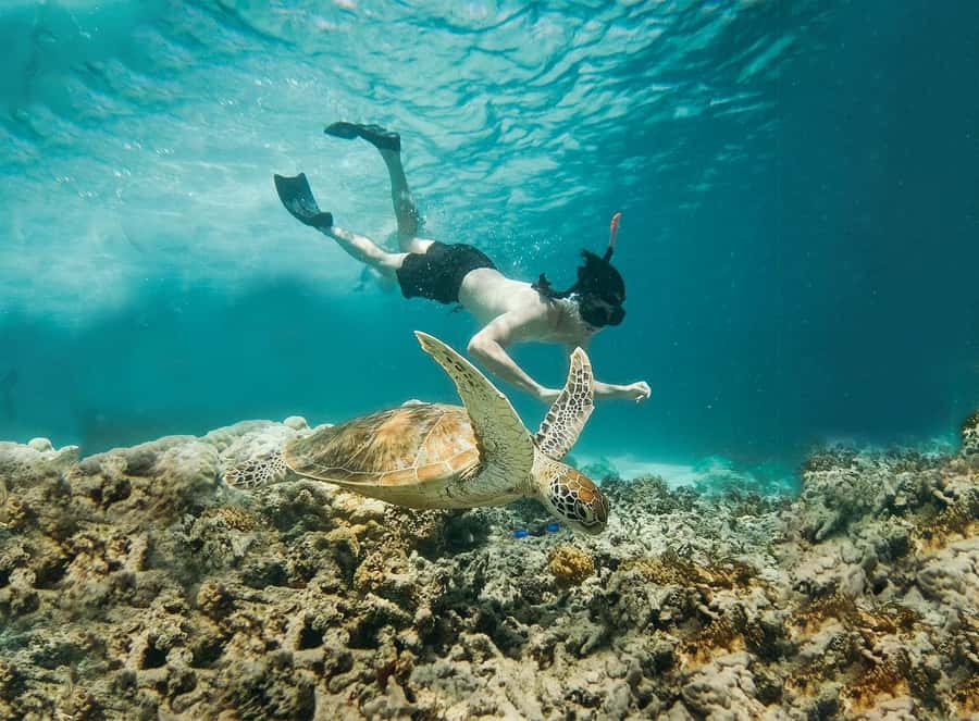 From Bali: 2D1N Gili Island Private Snorkel Boat with Hotel - Returning to shore and using the last hours well