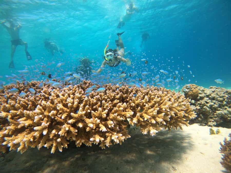 From Bali: 2D1N Gili Island Private Snorkel Boat with Hotel - Your first afternoon on Gili Trawangan