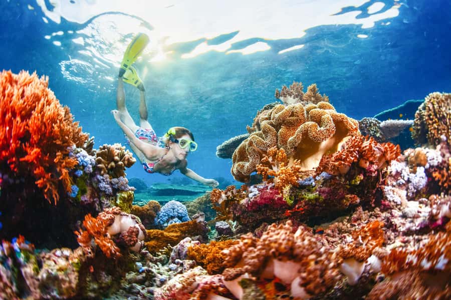 From Bali: 3 Snorkeling Spots Tour to Lembongan and Penida - Quick points to know