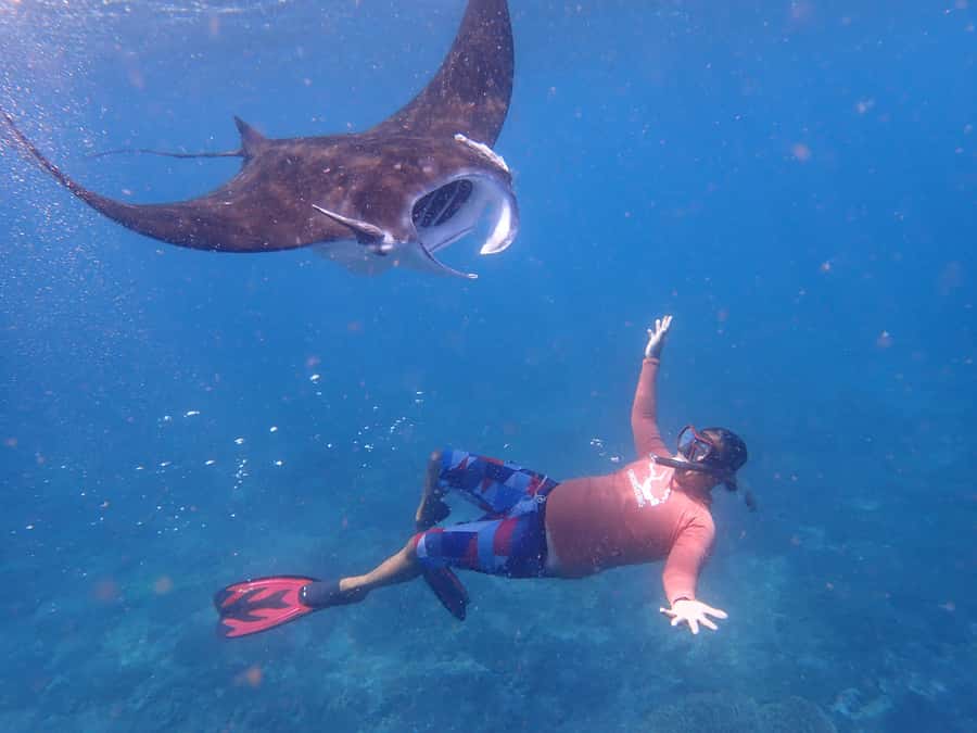 From Bali: 3 Snorkeling Spots Tour to Lembongan and Penida - Is $55 good value?