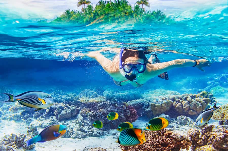 From Bali: 3 Snorkeling Spots Tour to Lembongan and Penida - Crystal Bay, turtles, and possible manta rays