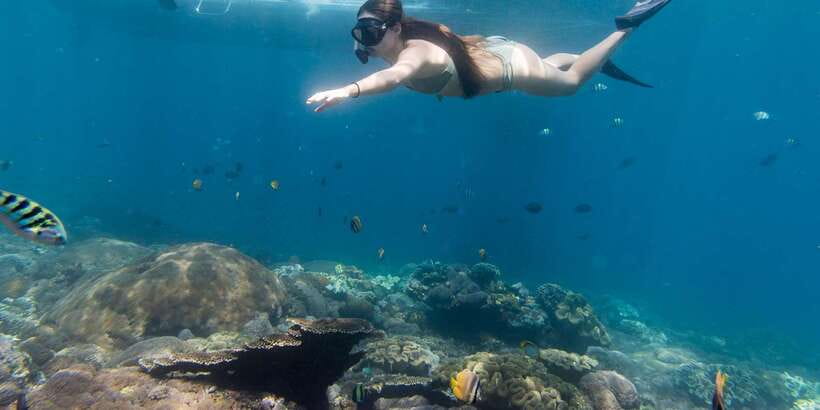 From Bali: 4-Day Surf and Yoga Retreat in Nusa Lembongan - Who will enjoy this retreat most?