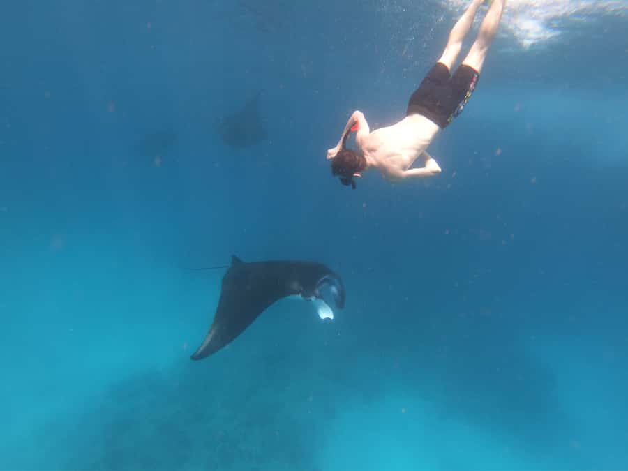 From Bali: Lembongan & Penida 2-Day Tour with Snorkeling - Key points to know before booking