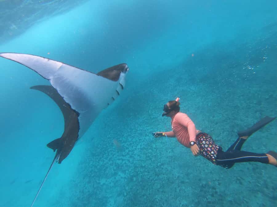 From Bali: Lembongan & Penida 2-Day Tour with Snorkeling - Why the manta ray morning is the big attraction