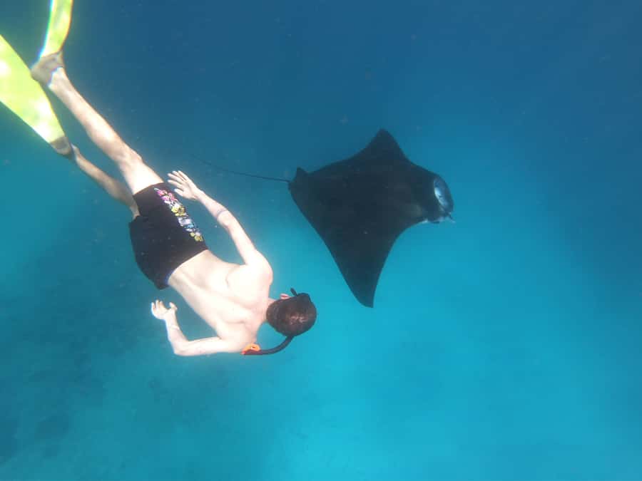 From Bali: Lembongan & Penida 2-Day Tour with Snorkeling - Paradise Beach gives the first day a welcome pause