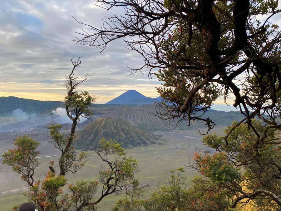 From Bali: Mount Bromo & Ijen volcanic private tour - Mount Bromo Sunrise at 4:30 AM