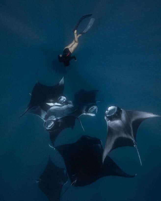 From Bali: Nusa Penida Day Tour & Snorkeling - One day, two very different Nusa Penida experiences