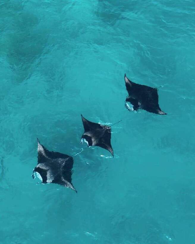 From Bali: Nusa Penida Day Tour & Snorkeling - The Sanur to Nusa Penida fast boat