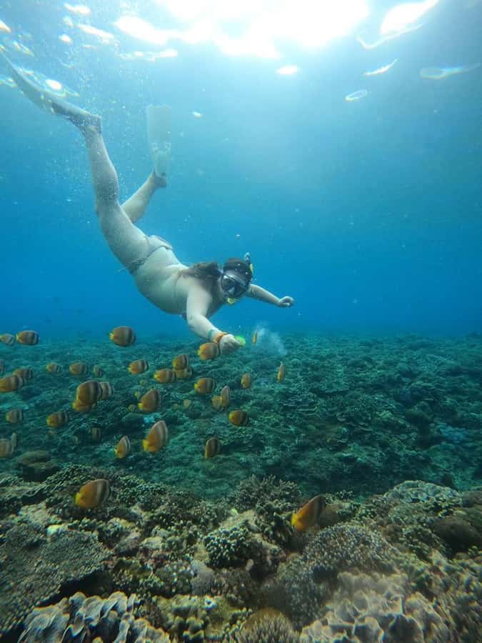 From Bali: Nusa Penida Full Day Private Snorkeling Tour - Rough seas, seasickness, and safety decisions