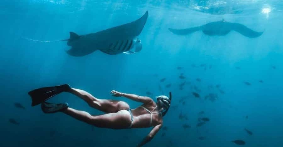 From Bali: Nusa Penida Full Day Private Snorkeling Tour - Getting from Bali to Nusa Penida